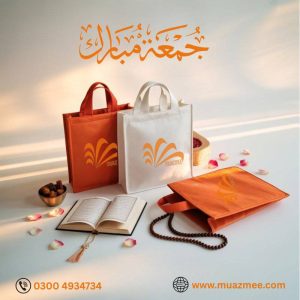 522473369_1321188683339728_4358580372532812431_n